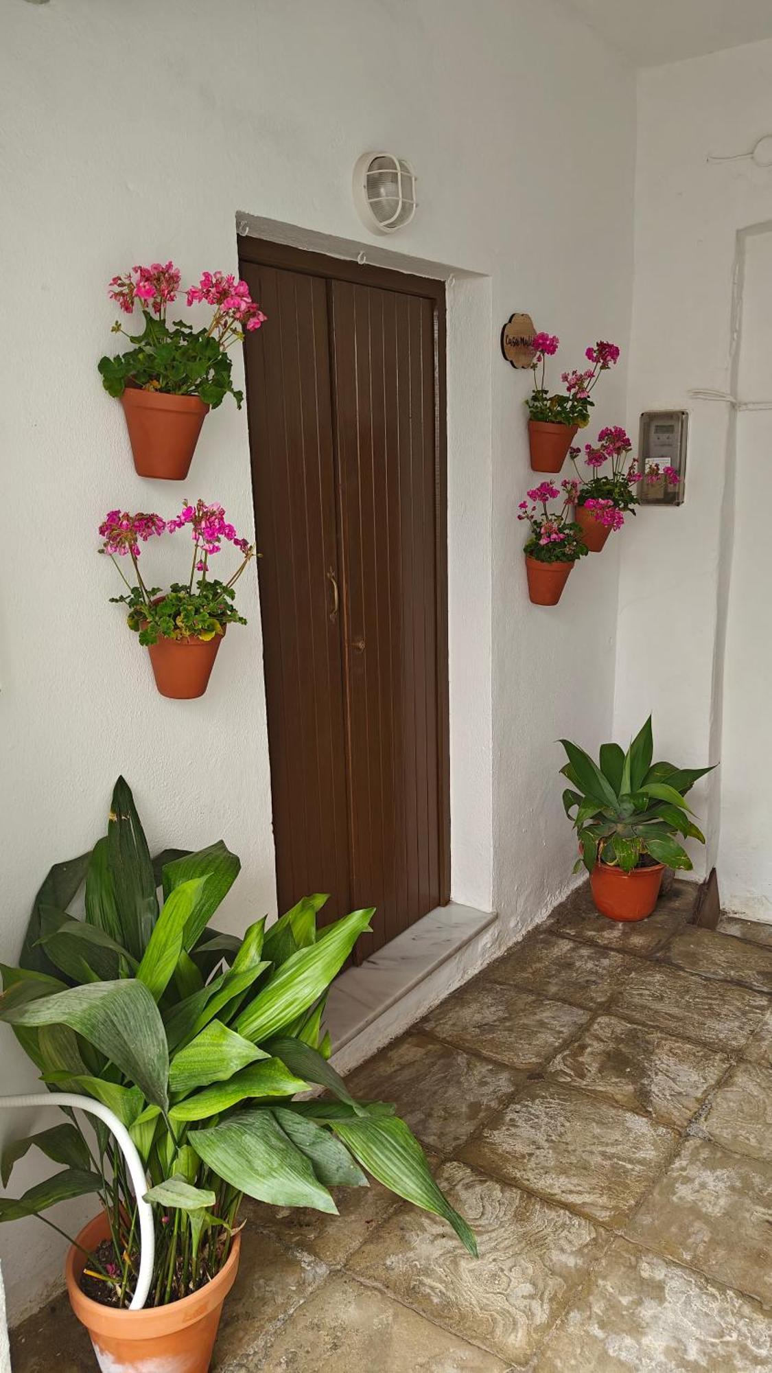 Casa Malia Apartamento Recien Reformado En Centro Вехер де ла Фронтера Екстериор снимка